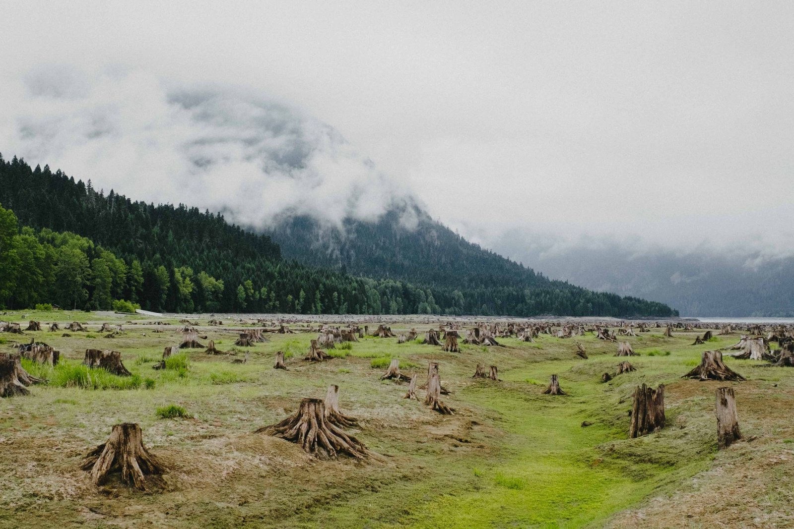 camping-in-the-cascades-exploring-skagit-valley-provincial-park-3
